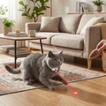 Interactive Laser Cat Collar with USB Charging lifestyle