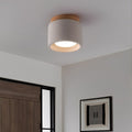 Modern Minimalist Round Concrete LED Ceiling Lights